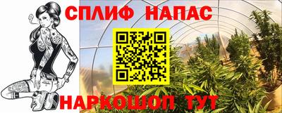 трава Комсомольск-на-Амуре