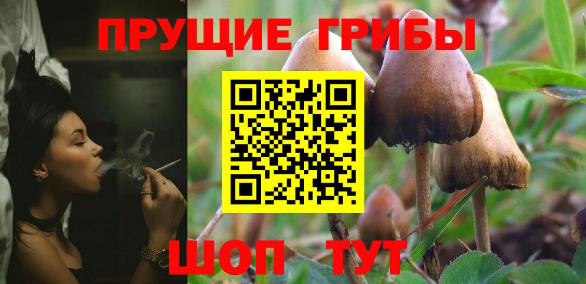 Галлюциногенные грибы Psilocybine cubensis  Вход с VPN  Юрга 